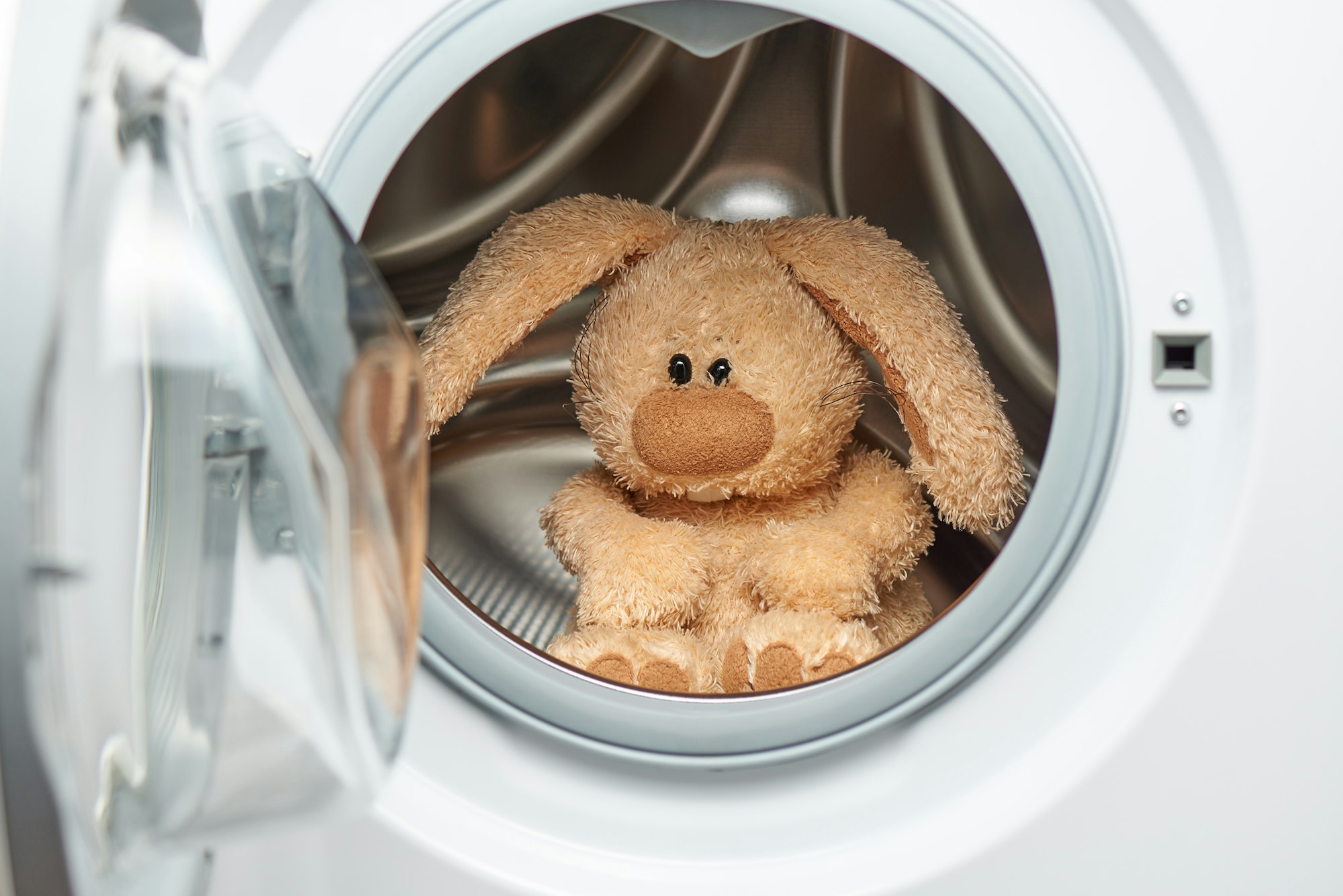Rabbit toy in the laundry